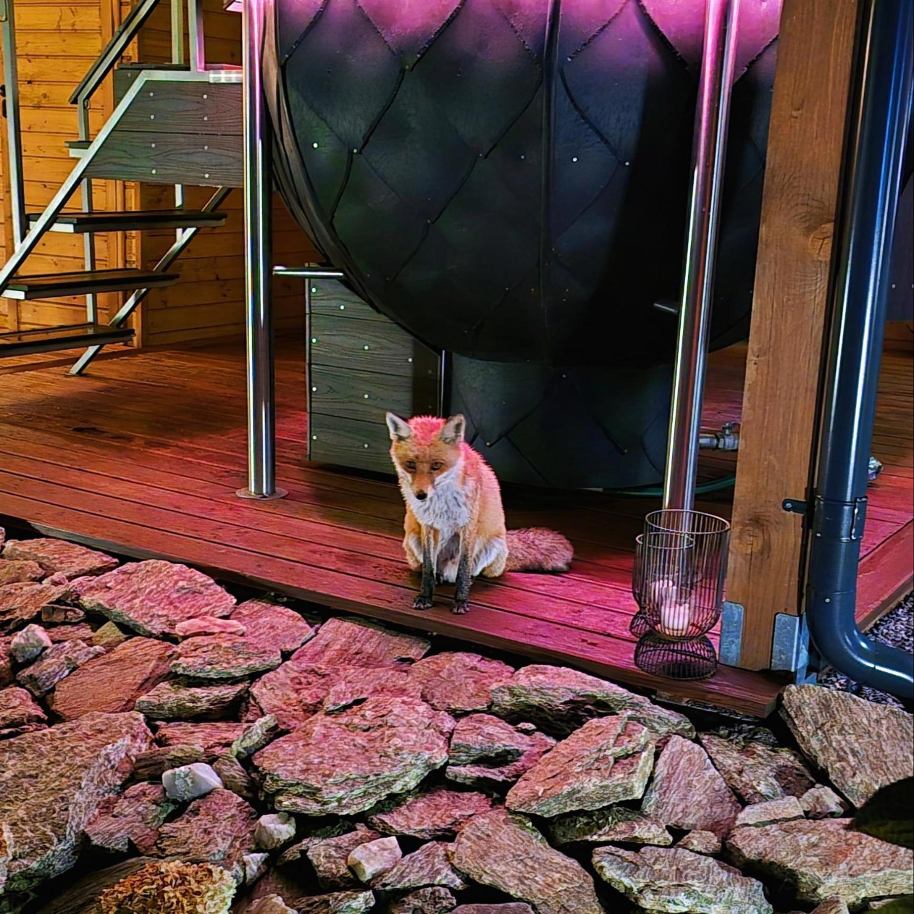 Osada Orlica Klimatyczne Domki Z Widokiem Na Gory I Termalnym Spa Sauna Jacuzzi 4 Km Od Zieleniec Ski Arena Lasowka Buitenkant foto